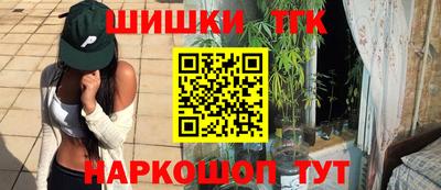 СК Обь