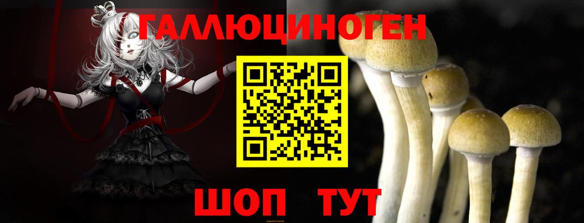 Галлюциногенные грибы Magic Shrooms  Вход с VPN  Советская Гавань 